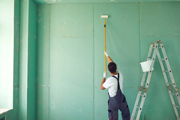 Best Basement Mold Removal  in Lake Cassidy, WA