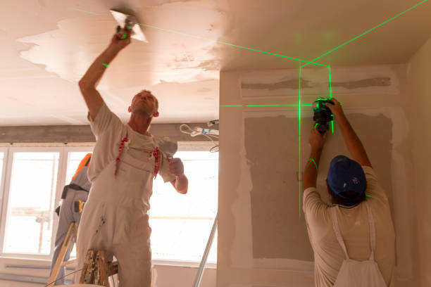 Best Emergency Mold Remediation  in Lake Cassidy, WA